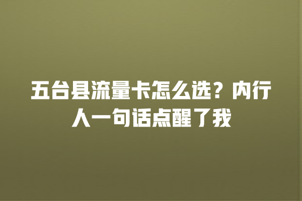 五台县流量卡怎么选？内行人一句话点醒了我