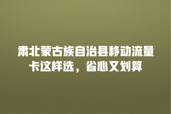 肃北蒙古族自治县移动流量卡这样选，省心又划算