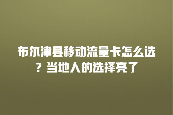 布尔津县移动流量卡怎么选？当地人的选择亮了