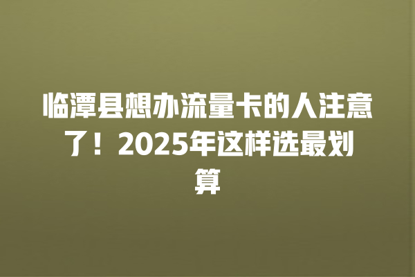 临潭县想办流量卡的人注意了！2025年这样选最划算