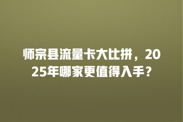 师宗县流量卡大比拼，2025年哪家更值得入手？
