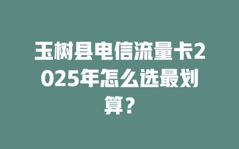 玉树县电信流量卡2025年怎么选最划算？