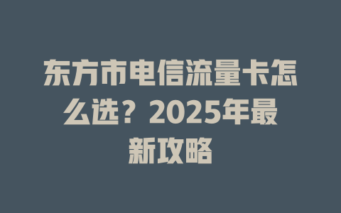 东方市电信流量卡怎么选？2025年最新攻略