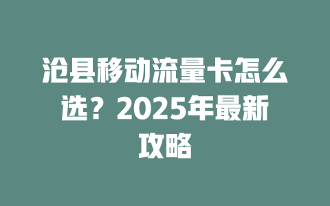 沧县移动流量卡怎么选？2025年最新攻略