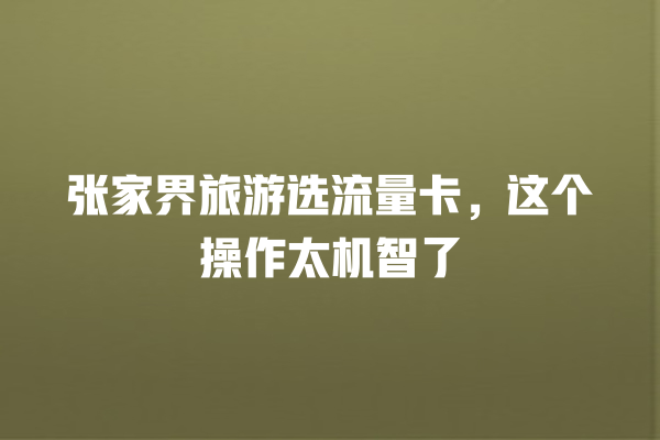 张家界旅游选流量卡，这个操作太机智了