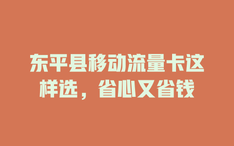 东平县移动流量卡这样选，省心又省钱