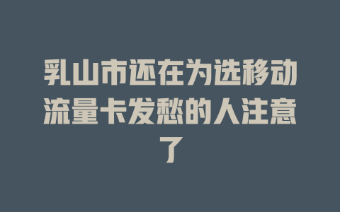 乳山市还在为选移动流量卡发愁的人注意了
