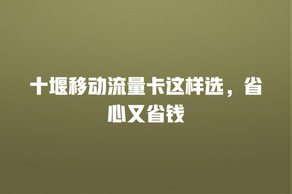 十堰移动流量卡这样选，省心又省钱