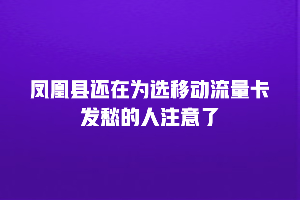 凤凰县还在为选移动流量卡发愁的人注意了