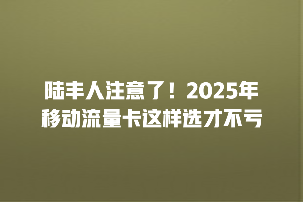 陆丰人注意了！2025年移动流量卡这样选才不亏
