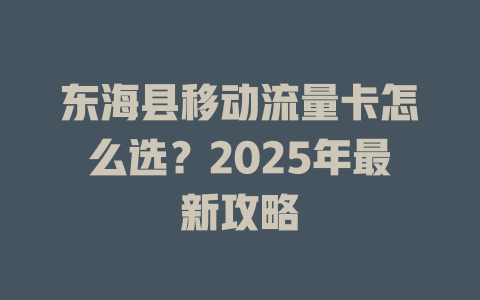 东海县移动流量卡怎么选？2025年最新攻略