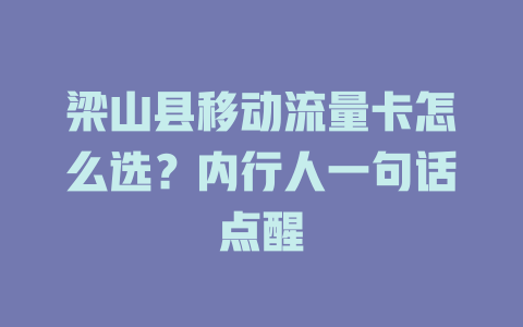 梁山县移动流量卡怎么选？内行人一句话点醒