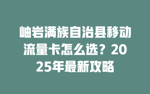 岫岩满族自治县移动流量卡怎么选？2025年最新攻略