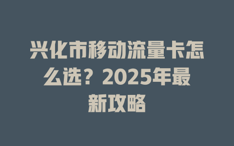 兴化市移动流量卡怎么选？2025年最新攻略