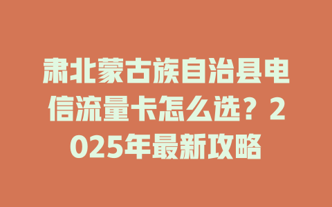 肃北蒙古族自治县电信流量卡怎么选？2025年最新攻略