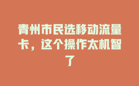 青州市民选移动流量卡，这个操作太机智了