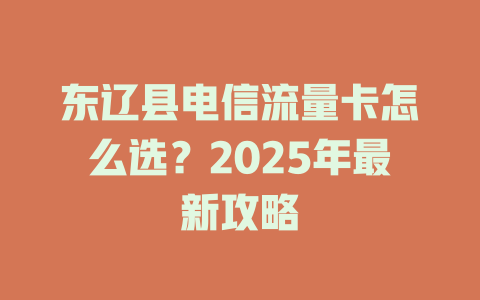 东辽县电信流量卡怎么选？2025年最新攻略