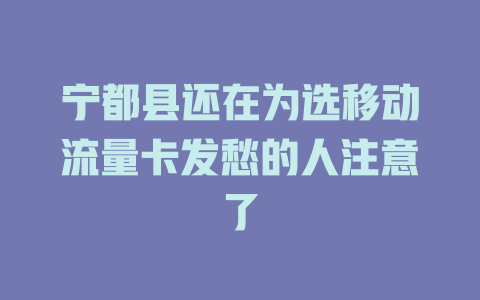 宁都县还在为选移动流量卡发愁的人注意了