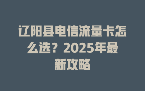 辽阳县电信流量卡怎么选？2025年最新攻略
