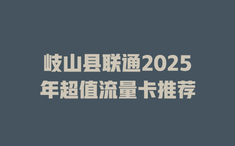 岐山县联通2025年超值流量卡推荐
