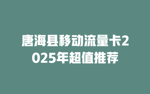 唐海县移动流量卡2025年超值推荐