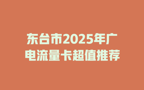 东台市2025年广电流量卡超值推荐