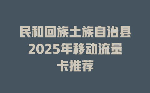 民和回族土族自治县2025年移动流量卡推荐