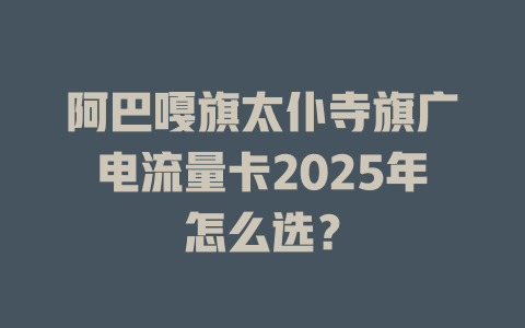 阿巴嘎旗太仆寺旗广电流量卡2025年怎么选？