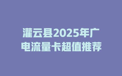 灌云县2025年广电流量卡超值推荐