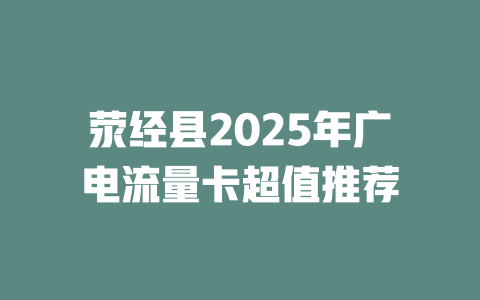荥经县2025年广电流量卡超值推荐