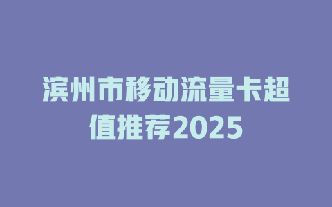 滨州市移动流量卡超值推荐2025
