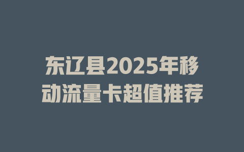 东辽县2025年移动流量卡超值推荐