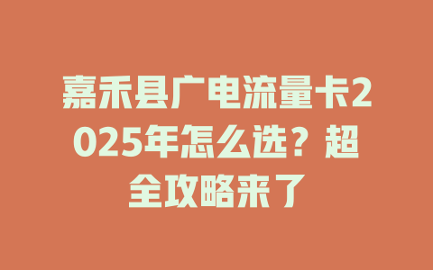 嘉禾县广电流量卡2025年怎么选？超全攻略来了