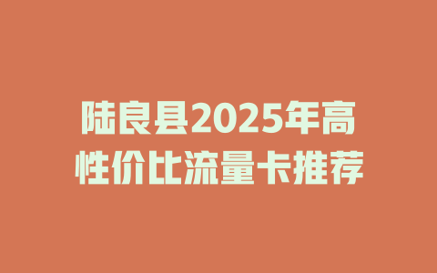 陆良县2025年高性价比流量卡推荐