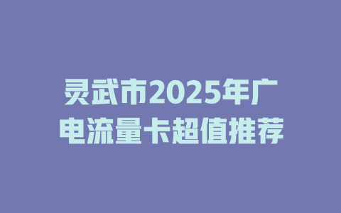 灵武市2025年广电流量卡超值推荐