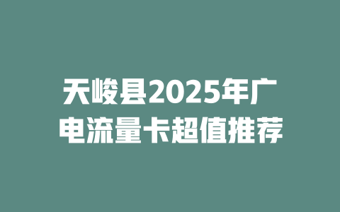 天峻县2025年广电流量卡超值推荐