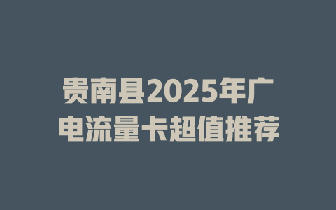 贵南县2025年广电流量卡超值推荐