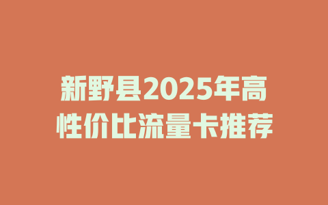 新野县2025年高性价比流量卡推荐