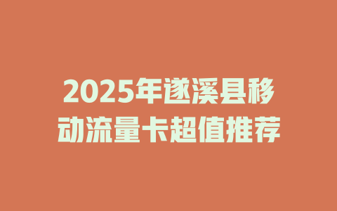 2025年遂溪县移动流量卡超值推荐
