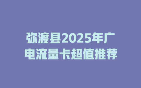 弥渡县2025年广电流量卡超值推荐