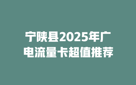 宁陕县2025年广电流量卡超值推荐