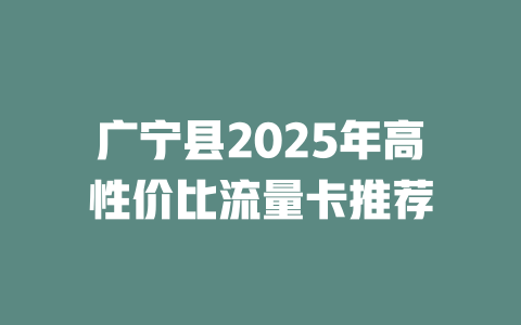 广宁县2025年高性价比流量卡推荐