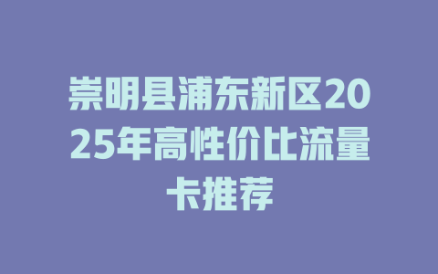 崇明县浦东新区2025年高性价比流量卡推荐