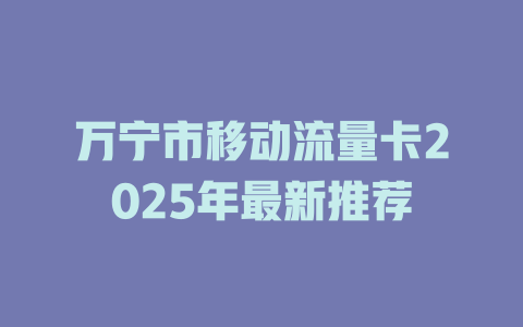 万宁市移动流量卡2025年最新推荐