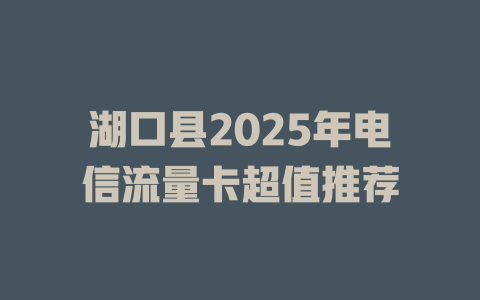 湖口县2025年电信流量卡超值推荐