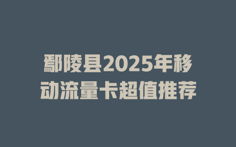 鄢陵县2025年移动流量卡超值推荐
