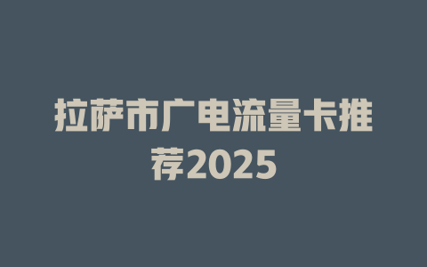拉萨市广电流量卡推荐2025