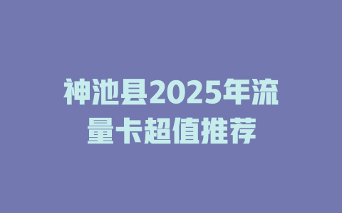神池县2025年流量卡超值推荐