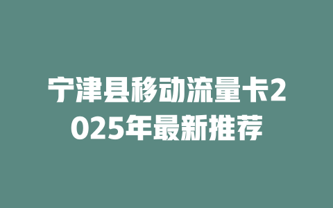 宁津县移动流量卡2025年最新推荐