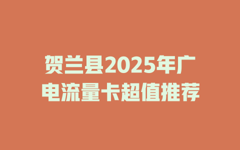 贺兰县2025年广电流量卡超值推荐